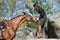 Young rider in forest