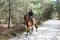 Young rider in forest