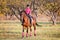 Young rider girl on bay horse in the park