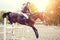 Young rider girl on horse show jumping competition