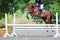 Young rider girl jumping on horse over obstacle