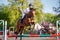 Young rider horseback woman jumping over the hurdle in showjumping competition