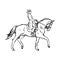 Young rider man on horse at dressage competition equestrian dressage - vector illustration sketch hand drawn with black lines, is