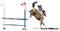 Young rider performing jump on bay horse over a hurdle on show jumping