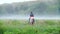 Young rider riding a horse jumps to the fog on the background of beautiful nature