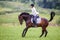 Young rider woman galloping on bay horse on meadow
