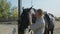 Young rider woman in white shirt touching her dark horse outdoors