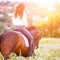 Young rider woman in white shirt walking on field