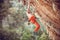 Young rock climber after jumping and gripping small handholds on overhanging cliff