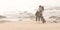 Young romantic couple kissing along beach