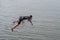 Young rope-walker is ready to stand up on a rope under Dnipro river in center of the city