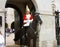 A young royal guard on horseback in London