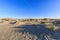 Young sand dunes formed by flooding at high tides