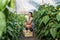 Young satisfied woman picking pepper in the basket in the greenhouse and smiling for vegetables she planted as small business star