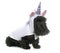 Young scottish terrier unicorn