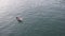 A young seagull floating on the waters of a Cornish harbour