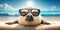 Young seal pup wearing sunglasses by the seashore, wide angle view