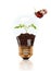 Young Seedling Growing Out of Soil Inside Light Bulb With Butter