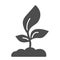 Young seedling with three leaves solid icon, Agriculture concept, Sprout symbol on white background, growing plant icon