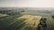 Young Seedlings in a Birds Eye View Field