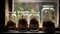 Young seedlings in glass jars on the windowsill. Preparation for the garden season. The beginning of spring. Generated