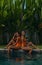 Young sexy girls in orange swimsuits posing in a pool at a tropical villa