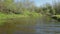 Young shepherd dog jumps into the river with a stick. the dog executes the owner`s command