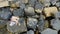 Young shirtless athletic man sitting on rock by sea