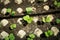 Young shoots of radish are prepared for planting. Rows of radish seedlings. Selective focus