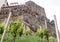 Young, shrubs, vine, Mala, vineyard, on a hillside, under a castle, Production, wine, Organic, cultivation, Wine, juice, grape, Ri