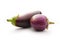 Young singe eggplant