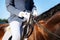 Young skillful equestrian wearing blue gloves sitting on horse