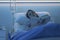 Young sleepless patient lying in the hospital bed and reading a book