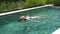 The young slender woman with long hair in Bikin swims in the pool under palm trees in the tropical resort