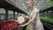 Young slim confident woman watering red flowers in greenhouse. Side view portrait of attractive blond Caucasian