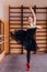 Young Smiling Ballerina Wearing black Tutu Doing exercise in training hall