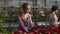 Young smiling female florist in apron showing flowerpots with red poinsettia to female customer. Young woman takes this