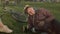 A young smiling man in a park lies on a lawn with a bottle in his hand. Happy man in a park with friends is resting