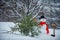 Young snowman lumberjack bears fir tree in the white snow background. Snowman is caryying christmas tree in the wood