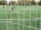 Young soccer team on playground viewed through net