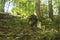 young soldier in military outfit climbing on a steep slope