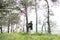 Young soldier in uniforms and tactical vest works in the forest and prepares for action at a temporary forest base. A man does in