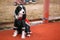 Young Spaniel Dog Sitting On Floor Outdoor