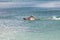 Young sporting man swims in the sea