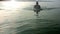 Young sporting man swims in the sea