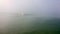 Young sporting man swims in the sea in fog