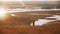 Young sportive woman running on the field on sunset