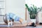 Young sportswoman doing exercises with ball on a mat at home