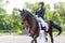 Young sportswoman riding horse on dressage test