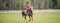 Young sportswoman riding horse in equestrian show jumps competition. Teenage girl ride a horse